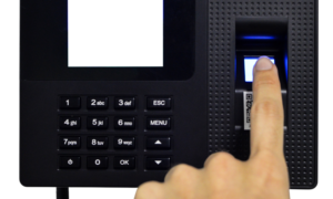 Automatic Entry System